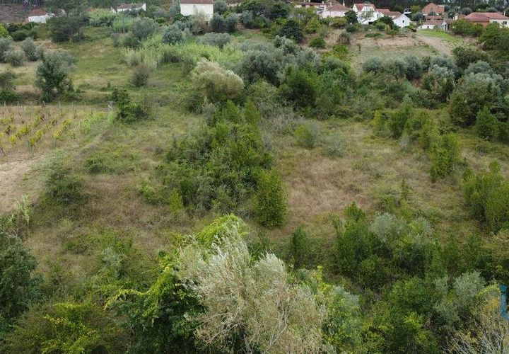 Tomt i Pombal, Leiria, Pombal - € 12 500 | Ref: 114873 - foto 1