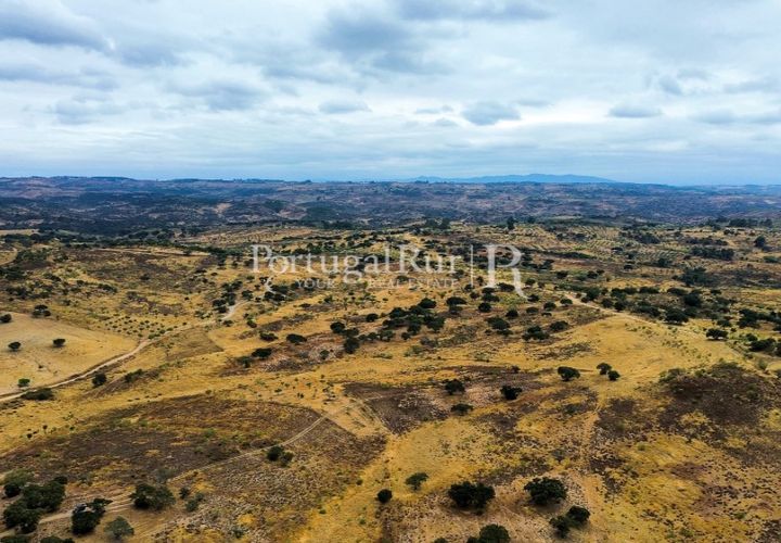 Terra a Rosmaninhal, Castelo Branco, Rosmaninhal - € 80.000 | Ref: IM951-B - foto 1