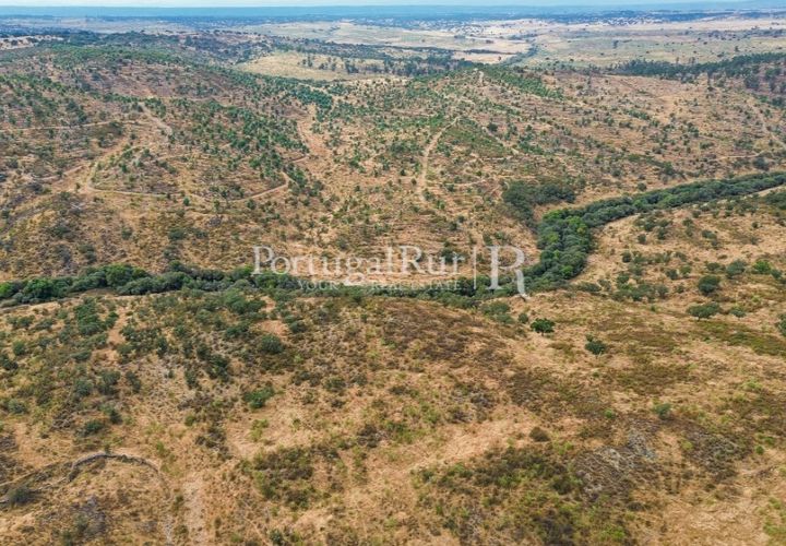 Farm i Rosmaninhal, Castelo Branco, Rosmaninhal - € 237.000 | Ref: IM951 - foto 1
