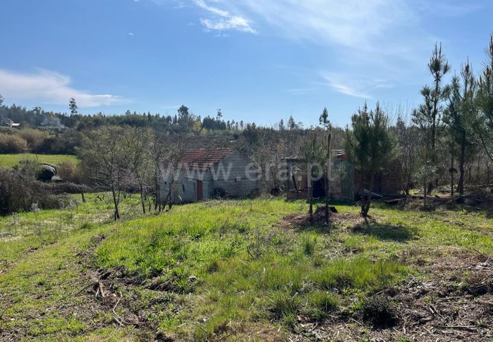 Terra a Seia, Guarda, Seia - € 37.500 | Ref: 382250047 - foto 1