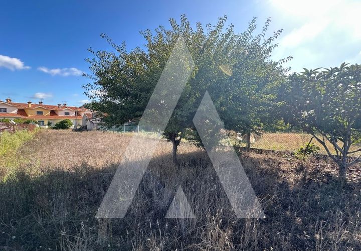 Terra a Oia, Aveiro, Oia - € 25.000 | Ref: 1051346/25 OB - foto 1