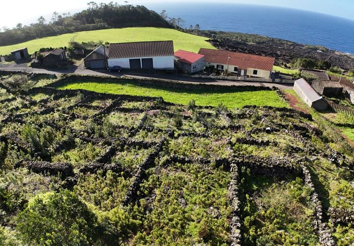 Helårsgrund i Candelaria, Pico, Candelaria - € 85.000 | Ref: AZ97908MK - foto 1