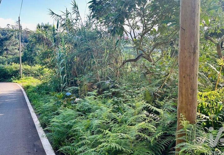 Tomt i Santana, Madeira, Santana - € 85 000 | Ref: 699579 - foto 1