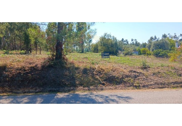 Terra a Soure, Coimbra, Soure - € 155.000 | Ref: TER_1185 - foto 1
