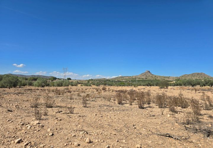Terra a Salinas, Alicante, Salinas - € 33.500 | Ref: IVD13828 - foto 1