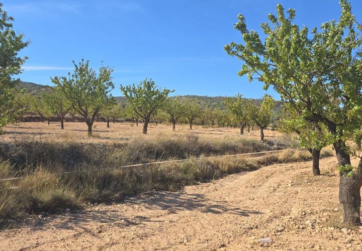 Helårsgrund i Salinas, Alicante, Salinas - € 52.500 | Ref: IVD13826 - foto 1