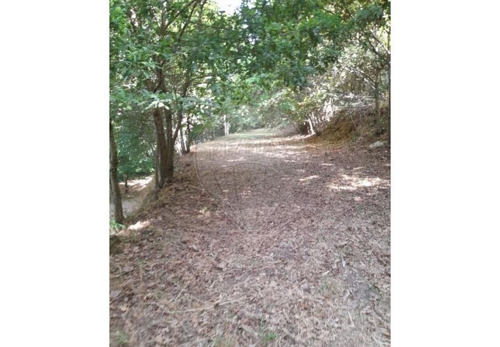 Terra a Caldelas, Braga, Caldelas - € 10.000 | Ref: 126971021-35 - foto 1
