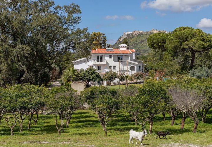 Villa i Palmela, Setubal, Palmela - € 1.950.000 | Ref: 25-TRES402 - foto 1