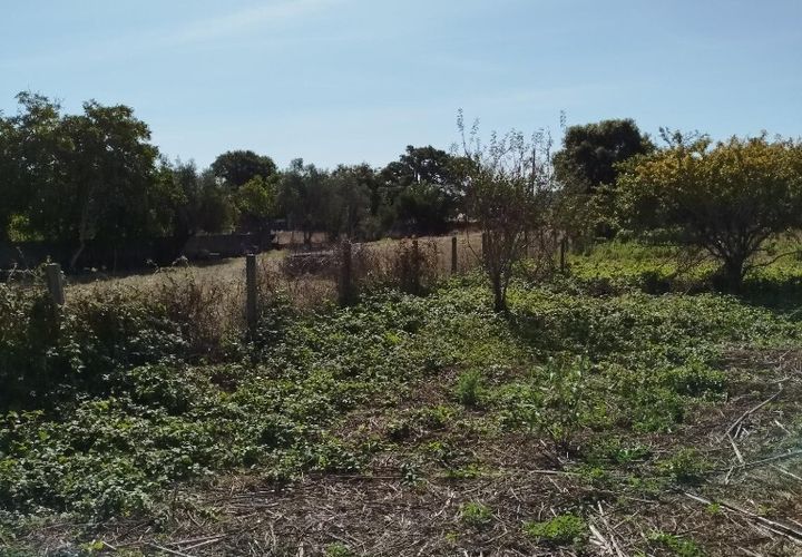 Helårsgrund i Sintra, Lisbon, Sintra - € 200.000 | Ref: ptm4517 - foto 1