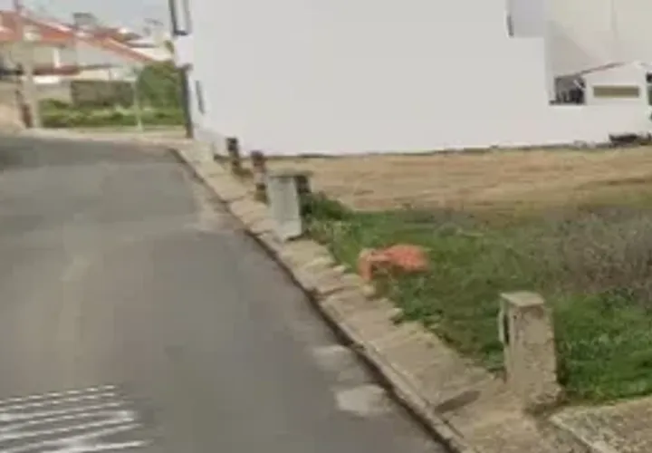 Terra a Alvito, Beja, Alvito - € 100.000 | Ref: C0486-00198 - foto 1