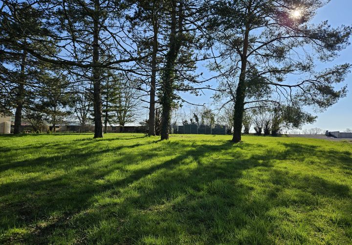 Terra a Cheilly-lès-Maranges, Saone-et-Loire, Cheilly-lès-Maranges - € 150.000 | Ref: 4919 - foto 1
