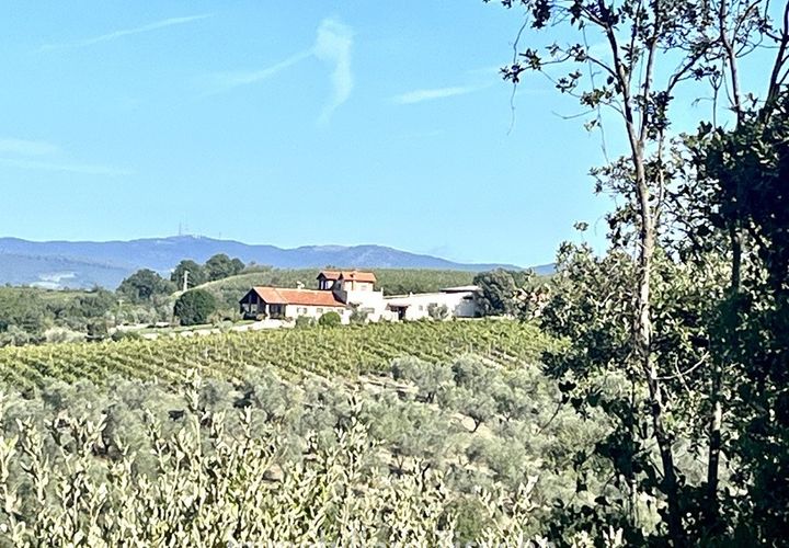 Farm i Montecchio, Terni, Montecchio - € 950.000 | Ref: AA25 - foto 1