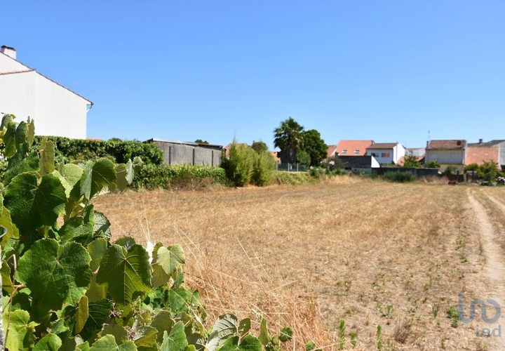 Terra a Ovar, Aveiro, Ovar - € 135.000 | Ref: 125667 - foto 1
