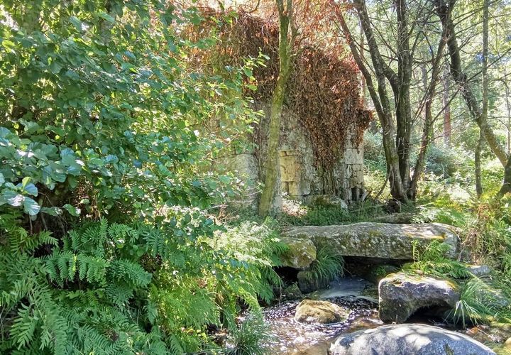 Farm i Terras de Bouro, Braga, Terras de Bouro - € 247.500 | Ref: 126971021-34 - foto 1
