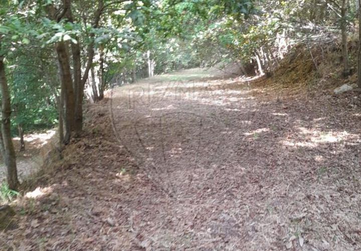 Helårsgrund i Amares, Braga, Amares - € 10.000 | Ref: 126971021-35 - foto 1