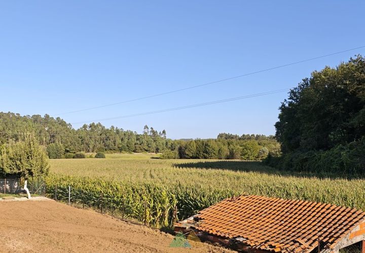Helårsgrund i Ponte de Lima, Viana do Castelo, Ponte de Lima - € 60.000 | Ref: PTL-001-129 - foto 1