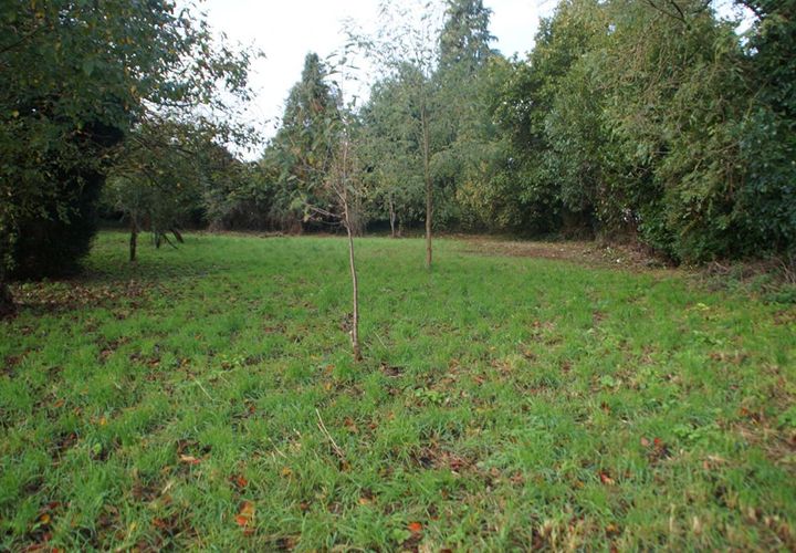 Helårsgrund i Caro, Morbihan, Caro - € 28.990 | Ref: 417530MVY - foto 1