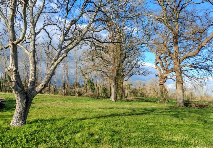 Terra a Hinx, Landes, Hinx - € 152.500 | Ref: 398538PAMO - foto 1