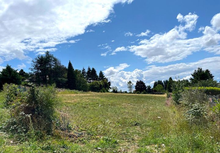 Terra a Violay, Loire, Violay - € 85.000 | Ref: 419448CLN - foto 1