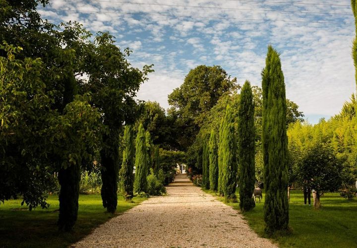 Villa i Saint-Emilion, Gironde, Saint-Emilion - € 3.650.000 | Ref: 418396WAND - foto 1