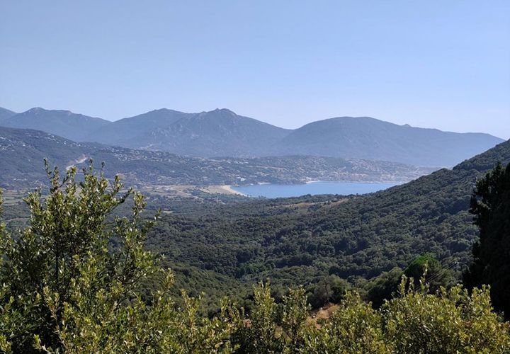 Villa i Olmeto, Corse-du-Sud, Olmeto - € 346.500 | Ref: 419007GCIA - foto 1