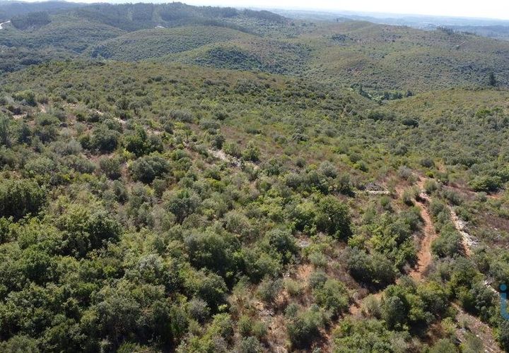 Terra a Ourem, Santarem, Ourem - € 11.500 | Ref: 149541 - foto 1