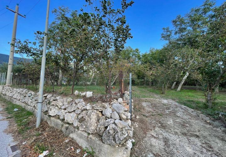 Terra a Avella, Avellino, Avella - € 28.000 | Ref: 459490 - foto 1