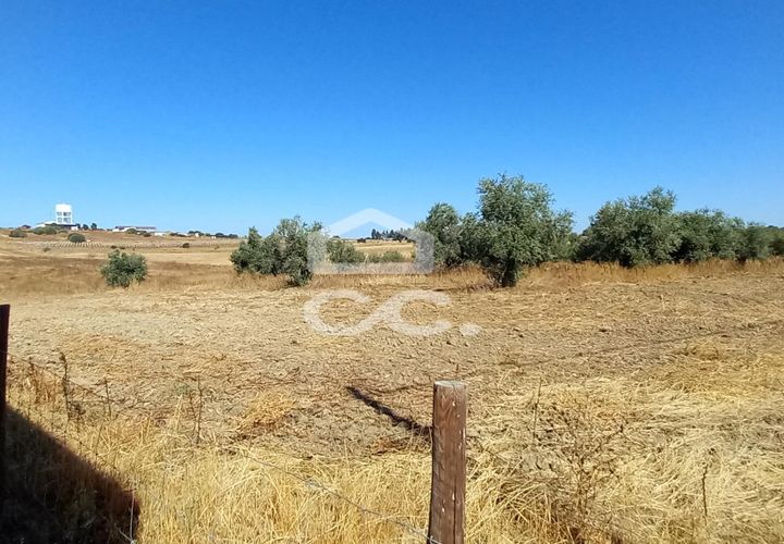 Helårsgrund i Beringel, Beja, Beringel - € 80.000 | Ref: 333/T/01421 - foto 1