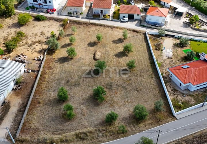 Tomt i Cernache, Coimbra, Cernache - € 220 000 | Ref: ZMPT580748 - foto 1