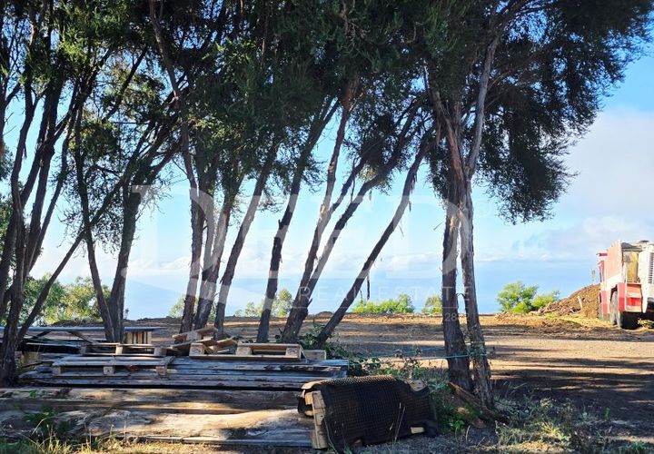 Helårsgrund i Arco da Calheta, Madeira, Arco da Calheta - € 330.000 | Ref: DEED/1015 - foto 1