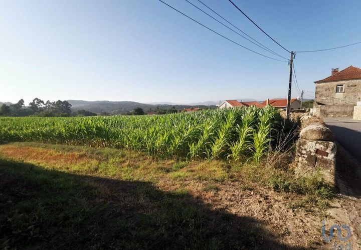 Terra a Esposende, Braga, Esposende - € 319.000 | Ref: 146053 - foto 1
