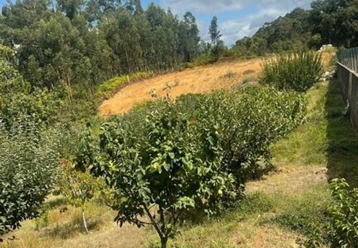 Helårsgrund i Moncao, Viana do Castelo, Moncao - € 100.000 | Ref: SF-SAFTI:007236 - foto 1