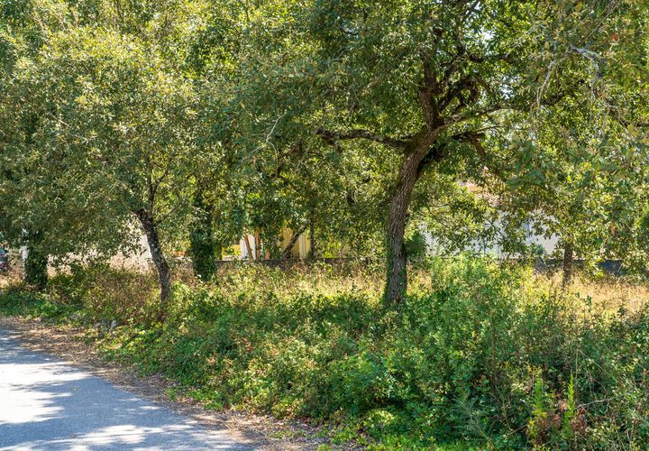 Helårsgrund i Alcobaca, Leiria, Alcobaca - € 42.000 | Ref: SF-SAFTI:007186 - foto 1