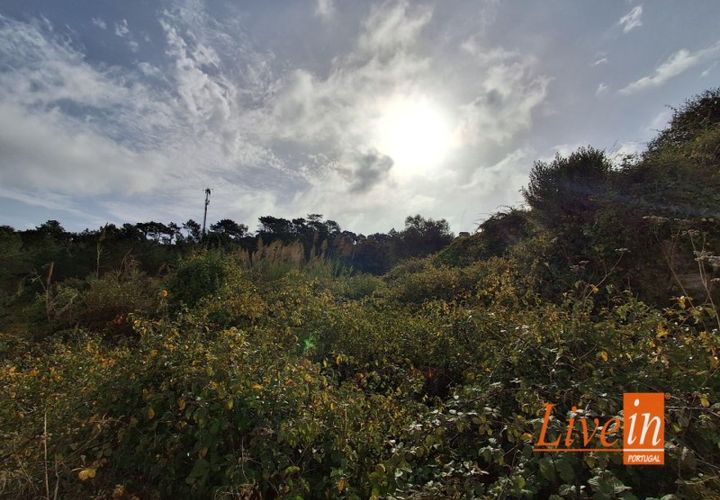Ruinere i Torres Vedras, Lisbon, Torres Vedras - € 50.000 | Ref: 9801AA - foto 1