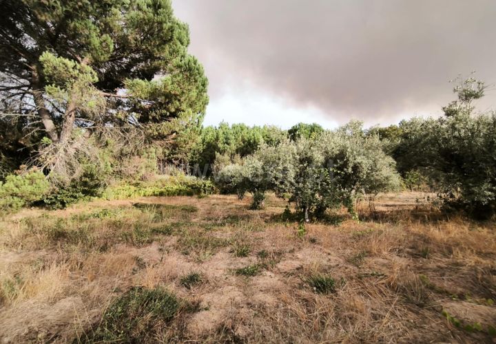 Terra a Nelas, Viseu, Nelas - € 22.000 | Ref: 389250190 - foto 1