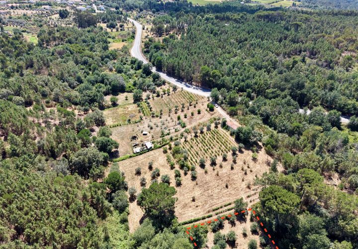 Terreno en Nelas, Viseu, Nelas - € 22.000 | Ref: 389250190 - photo 1