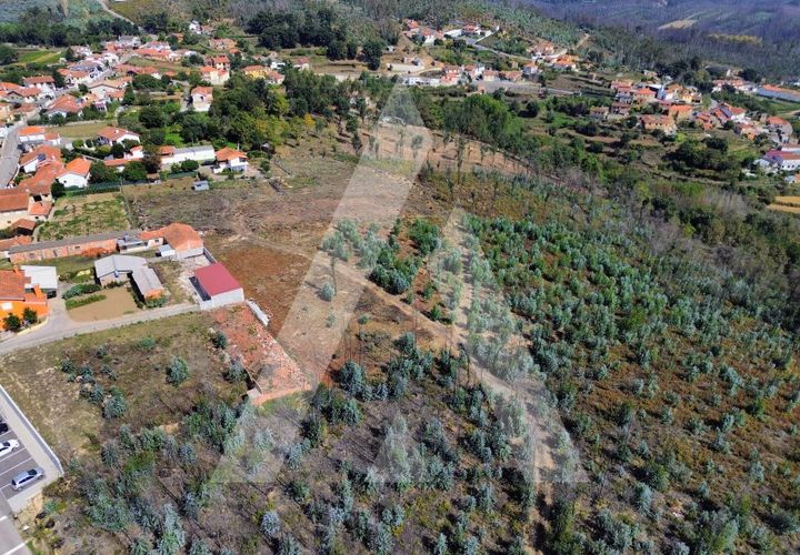 Terra a Branca, Aveiro, Branca - € 25.000 | Ref: 1060951/25 AL - foto 1