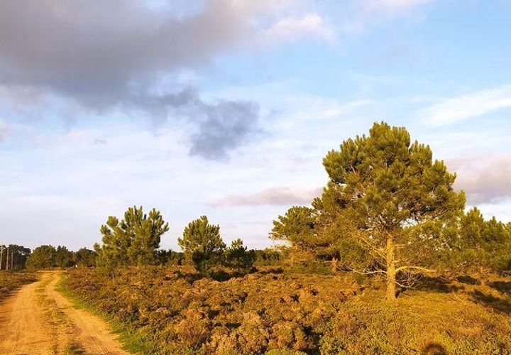Helårsgrund i Sagres, Faro, Sagres - € 390.000 | Ref: 88420 - foto 1