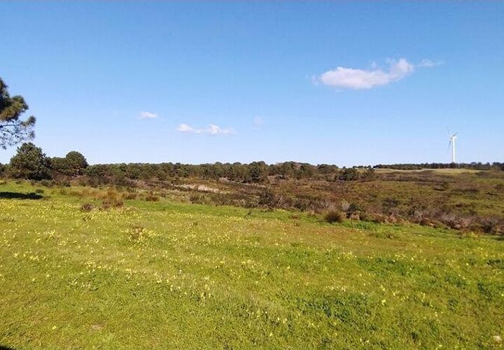 Helårsgrund i Sagres, Faro, Sagres - € 790.000 | Ref: 88886 - foto 1