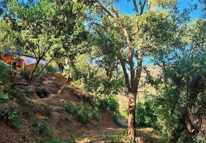 Terra a Monchique, Faro, Monchique - € 85.000 | Ref: 149345 - foto 1