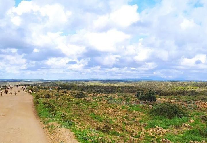 Helårsgrund i Sagres, Faro, Sagres - € 1.900.000 | Ref: 88411 - foto 1