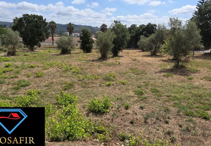 Helårsgrund i Tomar, Santarem, Tomar - € 30.000 | Ref: 00641 - foto 1