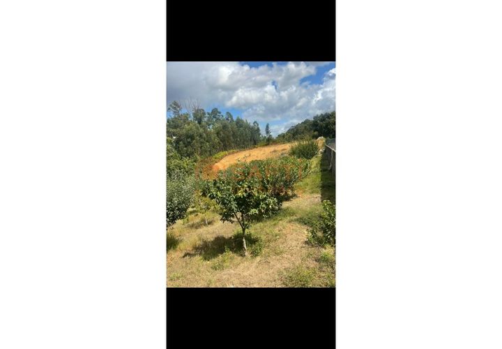 Helårsgrund i Moncao, Viana do Castelo, Moncao - € 100.000 | Ref: SAFTI:007236 - foto 1