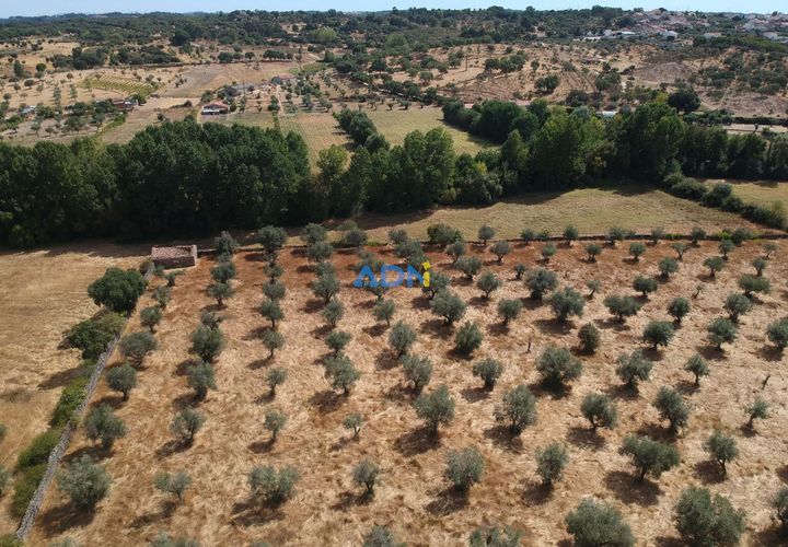 Farm hus i Castelo Branco, Castelo Branco, Castelo Branco - € 27.000 | Ref: 125094 - foto 1