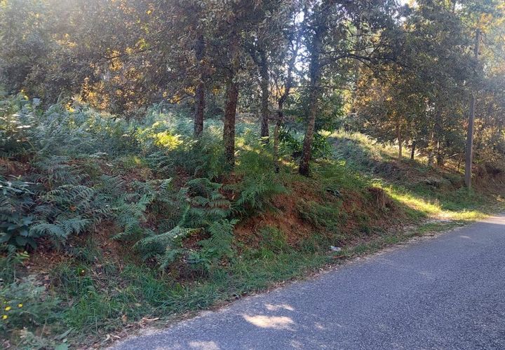 Helårsgrund i Amares, Braga, Amares - € 156.500 | Ref: 212080 - foto 1