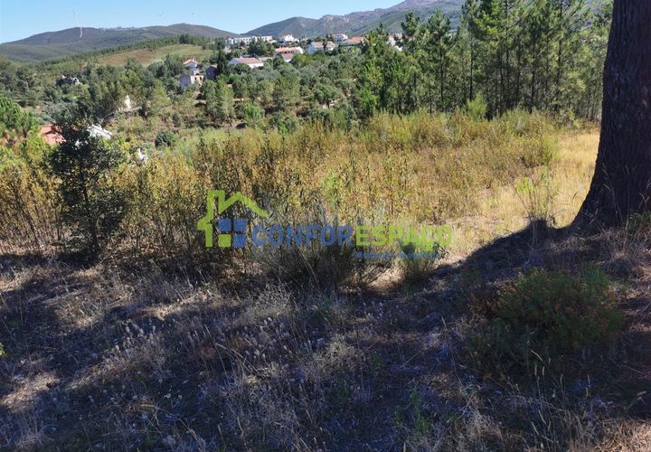 Helårsgrund i Castelo Branco, Castelo Branco, Castelo Branco - € 12.500 | Ref: 22058 - foto 1