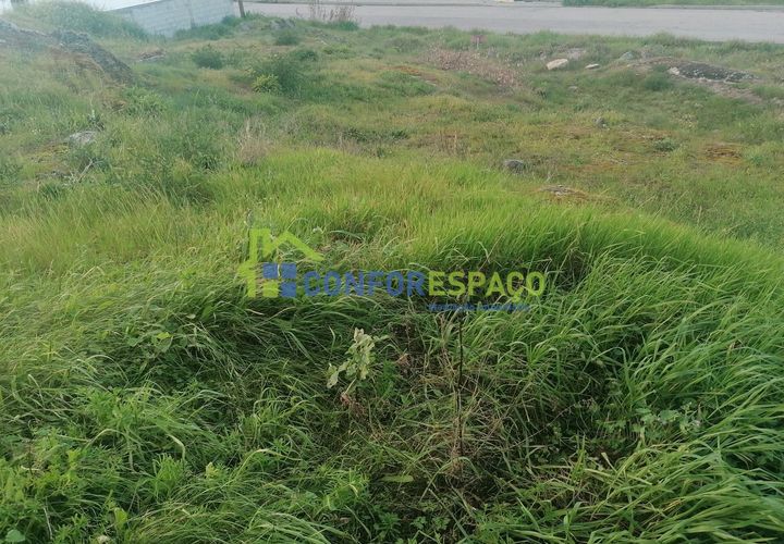 Helårsgrund i Castelo Branco, Castelo Branco, Castelo Branco - € 36.000 | Ref: 24026 - foto 1