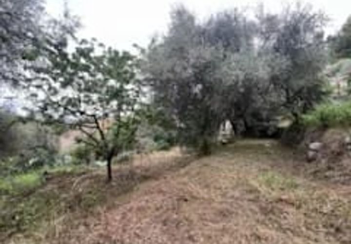 Terra a Bendejun, Alpes-Maritimes, Bendejun - € 77.000 | Ref: 86276142 - foto 1