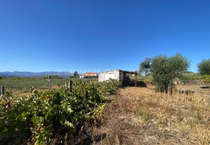 Terra a Fundao, Castelo Branco, Fundao - € 29.500 | Ref: 255250175 - foto 1