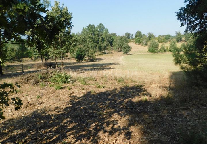 Helårsgrund i Fundao, Castelo Branco, Fundao - € 27.500 | Ref: 255250174 - foto 1